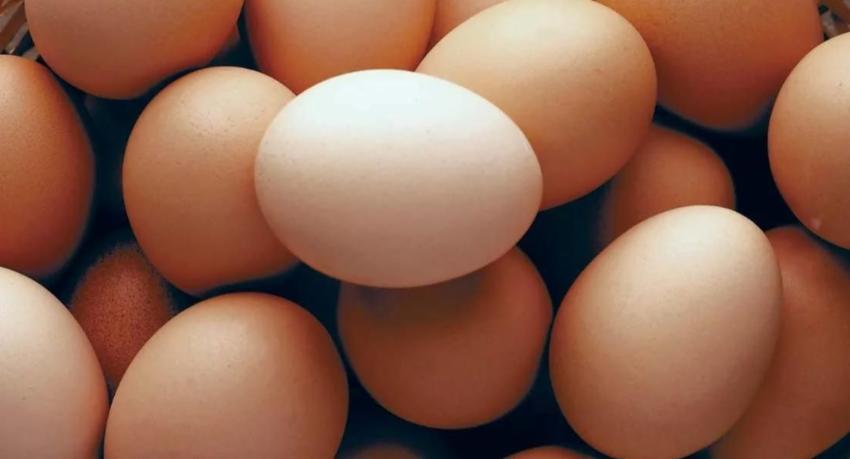 Over 100,000 eggs dumped in Forest Reserve